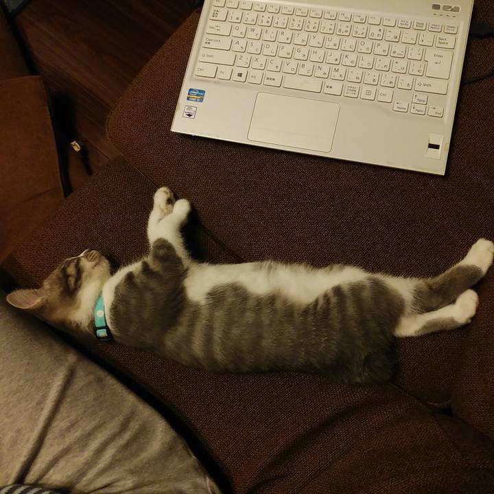 1a51c63e a2b3 401d be63 300a3cafa8e2 1563541151560