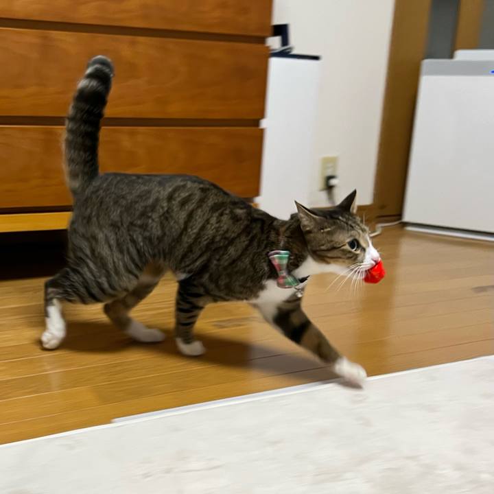 1a51dd01 805e 4ad2 adac a63513145d45 1773317897996