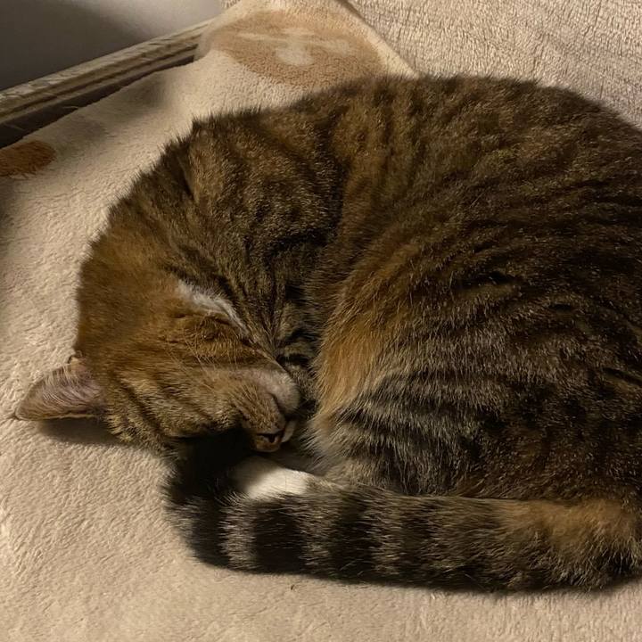 1a5214fd ee22 4106 b965 fa65a6015d31 1682978195494