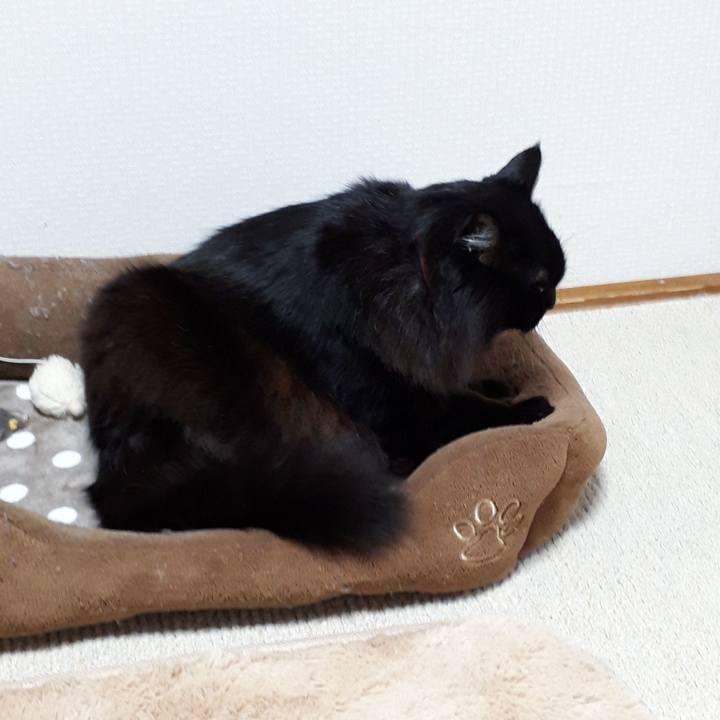 1a5243f8 03ab 428a b395 856bb93dac1c 1517408396099