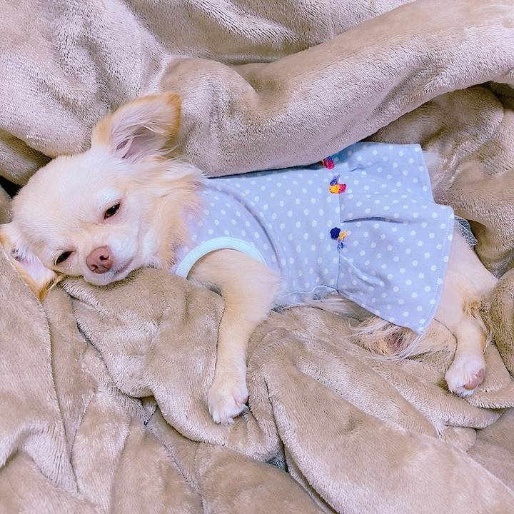 1a526081 ad9a 4028 8352 a346c4aa5b11 1623753904426