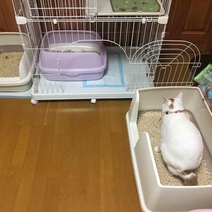 1a5279cb f2bb 4fdc a1ed 9244722370a4 1534420678920