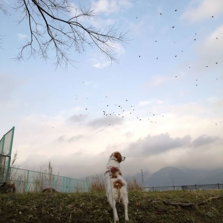 1a52848f 51e8 4dba a618 43d6c9245de0 1582362983072