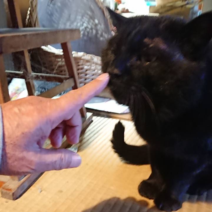 1a52a07c 71df 43c5 aef3 de53949584a7 1617182569292