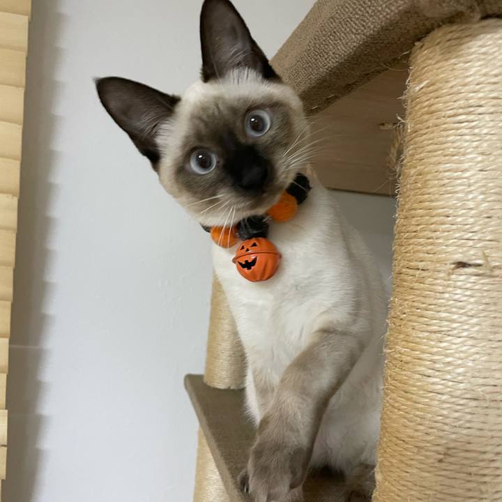 1a52a83f af8a 4ce0 8cd3 1ded6e72bcc9 1697573110714