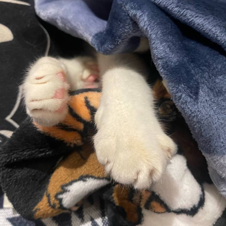 1a53431b 7ed1 4cd7 9040 d9ffb2af24f6 1705758992111