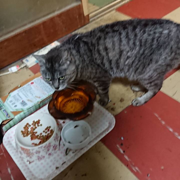 1a535500 2078 48bf aabe d7a13a2227f7 1564568693071