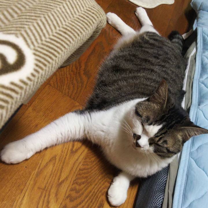 1a539924 12ee 43d1 897a 6e820ad70c02 1658570122836