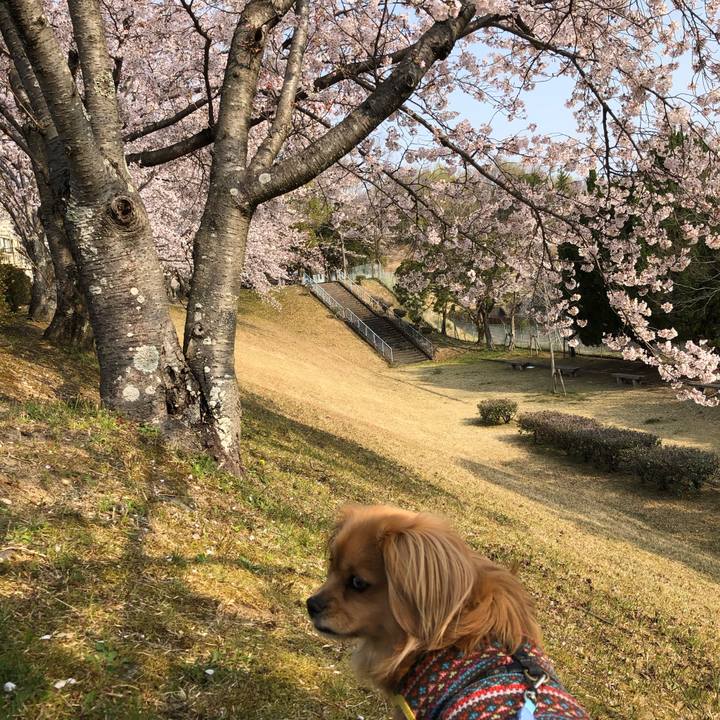 1a53a5ba e8a4 4eba b368 64d647b975cf 1554594764772