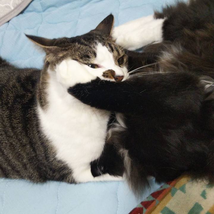 1a53b676 48cb 4ea0 861f 69e404251150 1656301581319