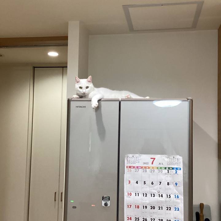 1a53b79e 5951 4e77 9338 3990e0b06b7c 1658012610740