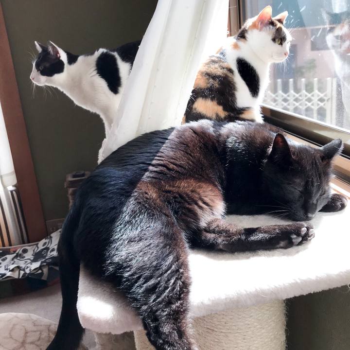 1a53fc7c 40c2 4e51 b25a 5901a406520a 1523805776575