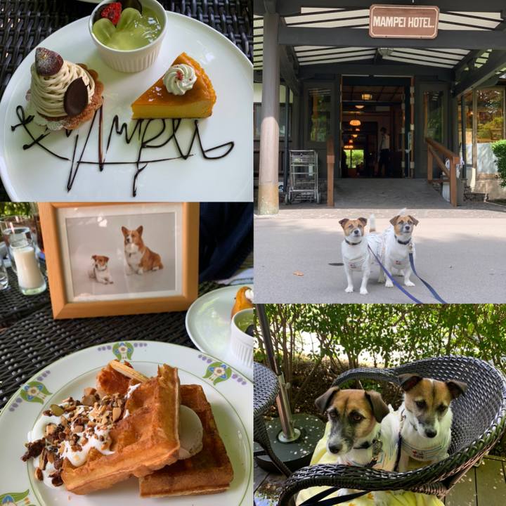 1a53ffc1 62ce 42f6 8e48 dba8376e61fe 1600070023093