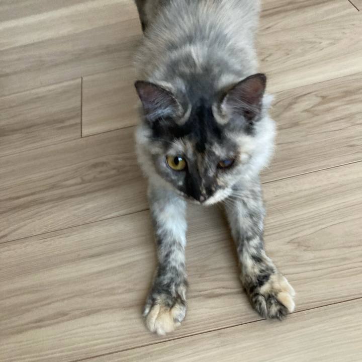 1a54008f bf01 4f41 808f 0a30975641ed 1701668722968