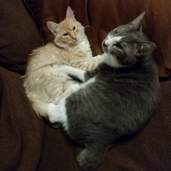 1a54917b 8a22 4e20 99a1 76217aa54cbb 1614351699708