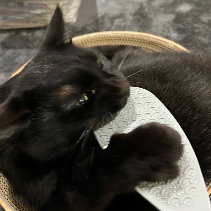 1a54e35f 80f8 4e58 bd75 bc13793792b5 1650802256338