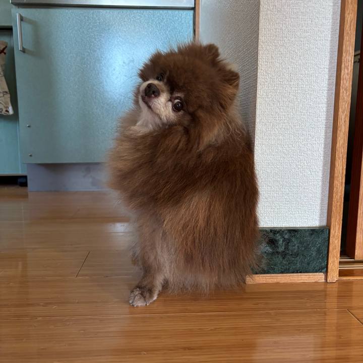 1a54f635 4e12 42d2 89d3 3aaec308b233 1758753439768