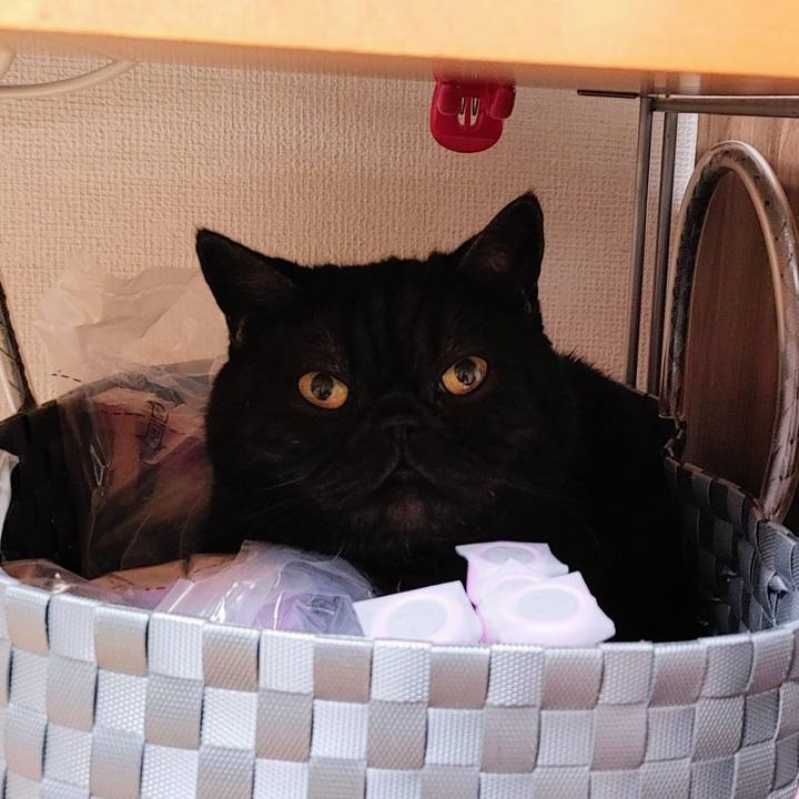 1a5506bb a7a9 4b84 9312 42949a39c8b4 1646212974116