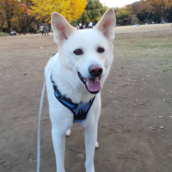 1a550c8c 45cd 48cd aa54 3d9542fa1d86 1668913992142