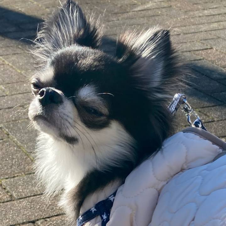 1a552b5e c396 4385 9b15 417fe22eb84d 1639803842366