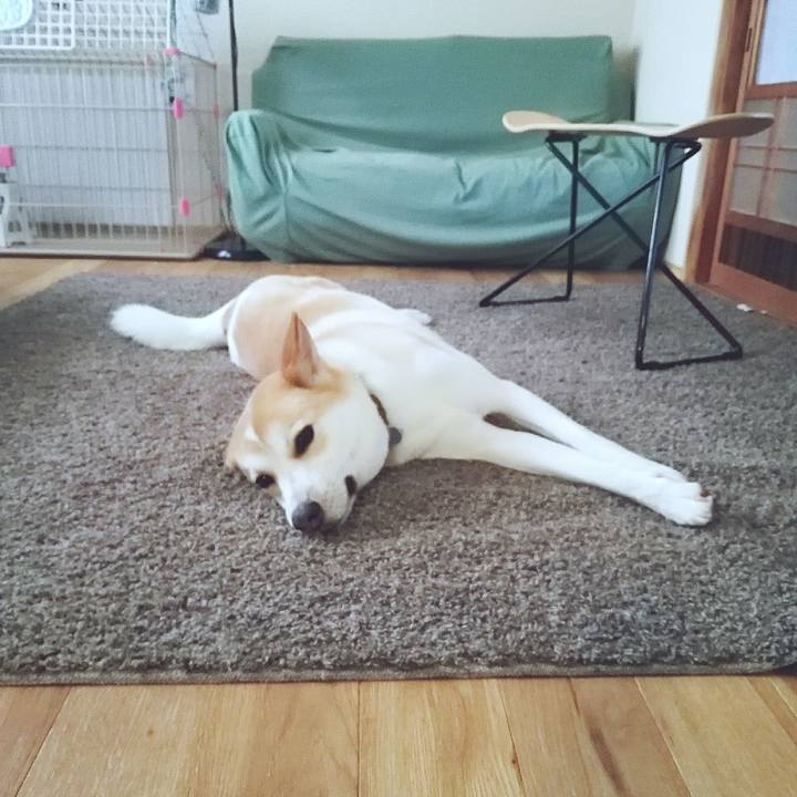 1a55431a 3785 4000 b6b7 670f356c713c 1567423272674