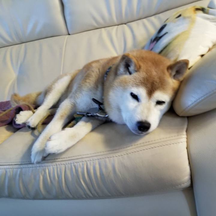 1a5572a0 2773 4b8e 97ed eaa30acae795 1704607560656