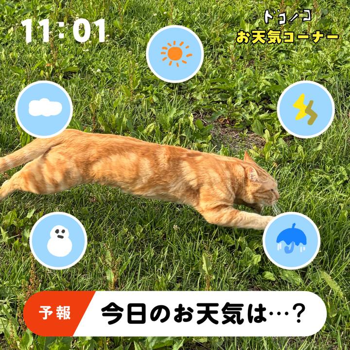1a559ad5 003c 4535 b207 b0fdf10bc1db 1781938216693