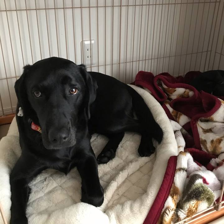 1a560c6c c0bd 4573 90c6 8d3f6bfe73ac 1551407327524