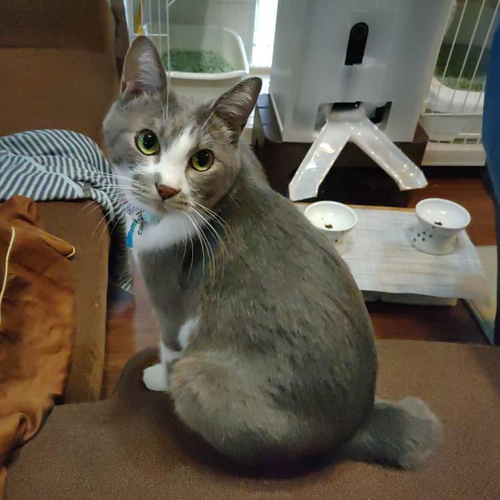 1a565f16 db6c 4863 8142 9edfe0d8bafb 1666582640981