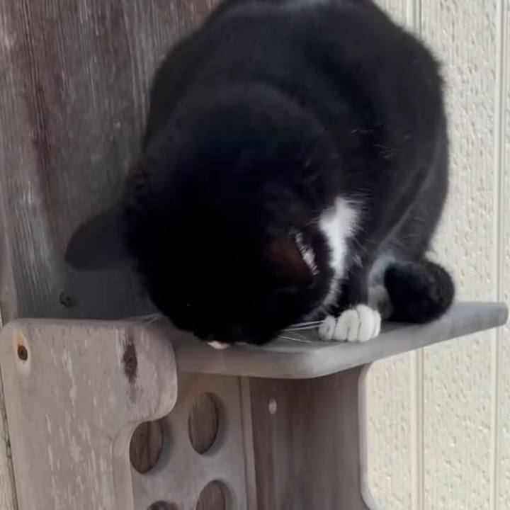 1a56914c ac3b 43e3 932e b2ec76fd41b8 1745306687556