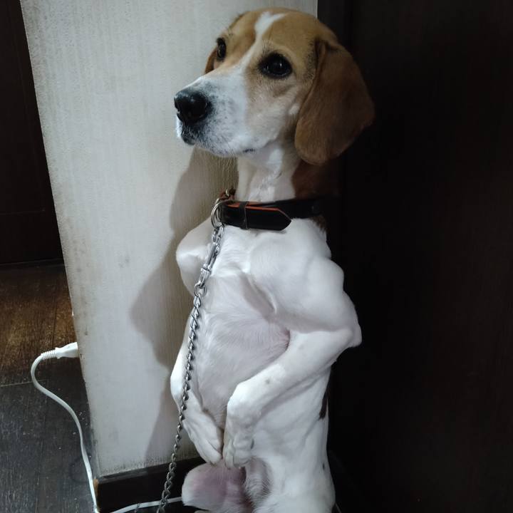 1a569731 22d7 46e5 9022 b773380a908b 1645518686296