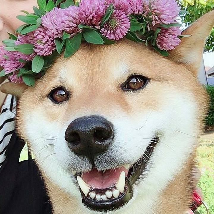 1a56b647 f175 42f5 b950 e0882715b6bc 1525522581668