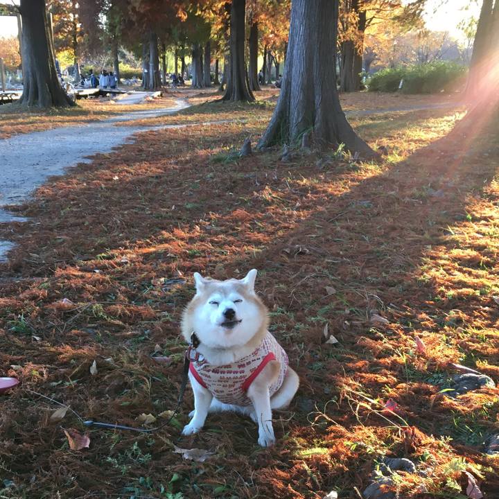 1a56d842 335a 4eb5 85dc 04b19e761c4d 1606000326015