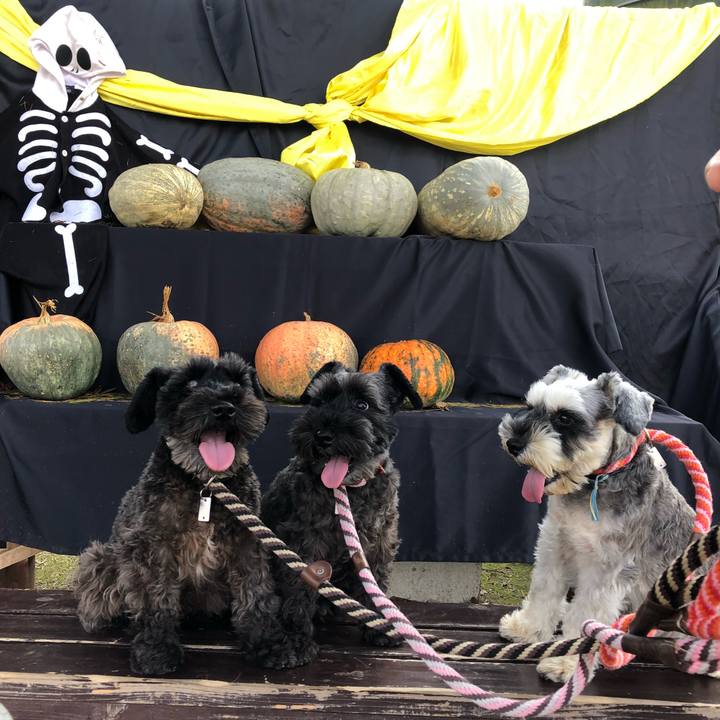 1a56de73 ef41 4f3c 8ca8 3e1c09e2adf3 1540691658675