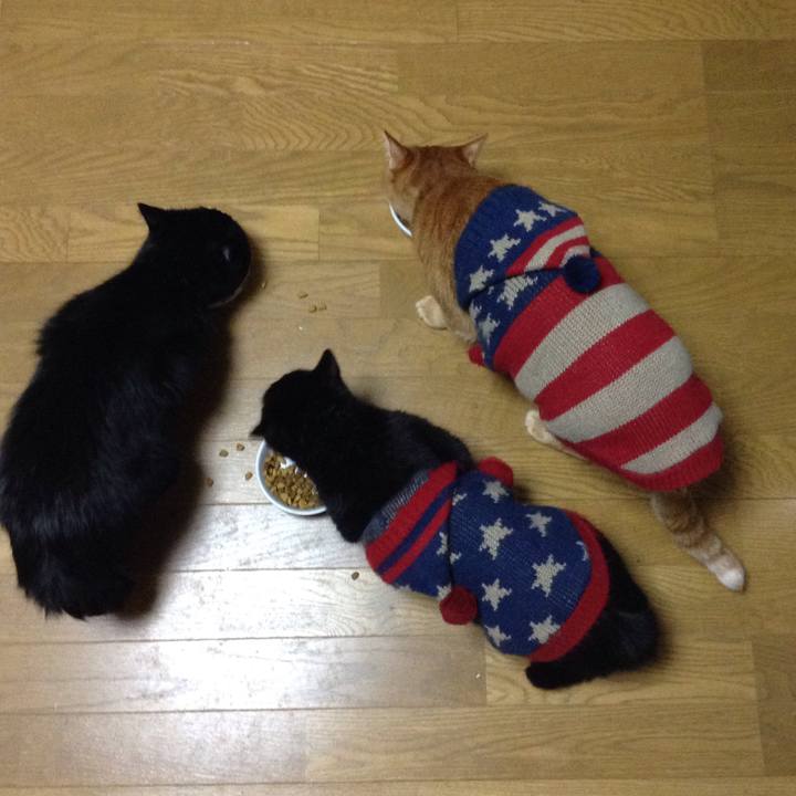 1a56f57c eade 4359 bede dea9aeefbc4a 1542230171038