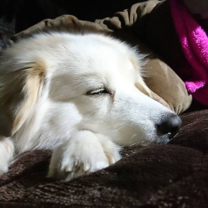 1a57736c 6a03 4d55 a5ee c10020b5fa45 1519593479943