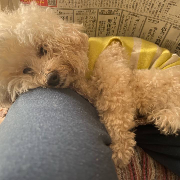 1a579d2c ee49 4023 abbd f8771e986fb9 1772354325904