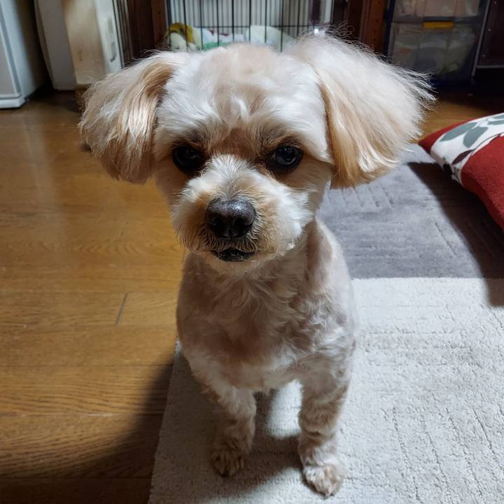 1a580790 190c 4ae4 aeff 506544e5b9c4 1642853279707