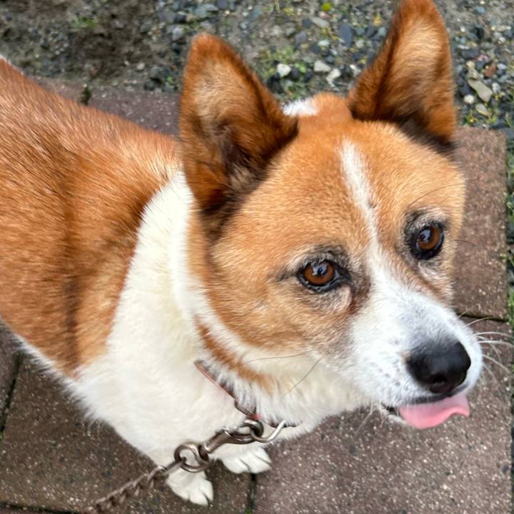 1a58231a 5106 4869 a2a7 d4231e892f9d 1761859614737