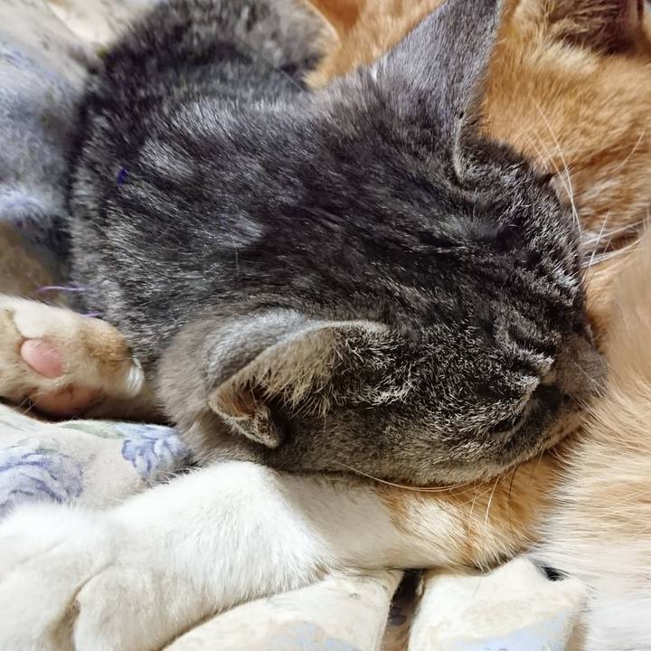 1a582f98 546d 4cc4 b9b9 b7419136a378 1578833484908