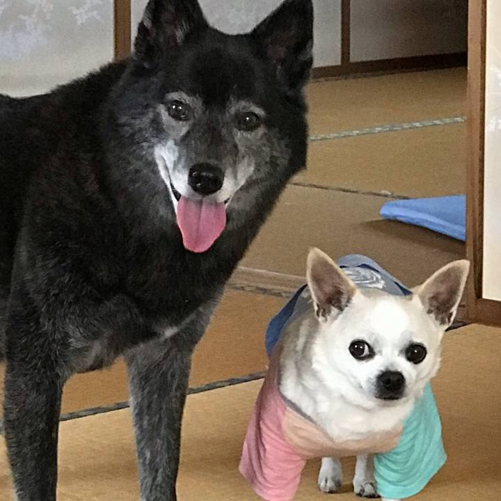 1a583a9b 16a7 4fc6 b9f9 b970d32e250f 1563889100969