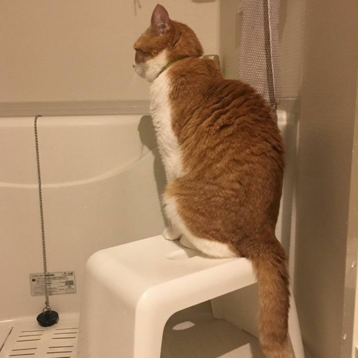 1a589d76 a4e4 4dce a49b 0e6fe4ce1f3a 1554983122570