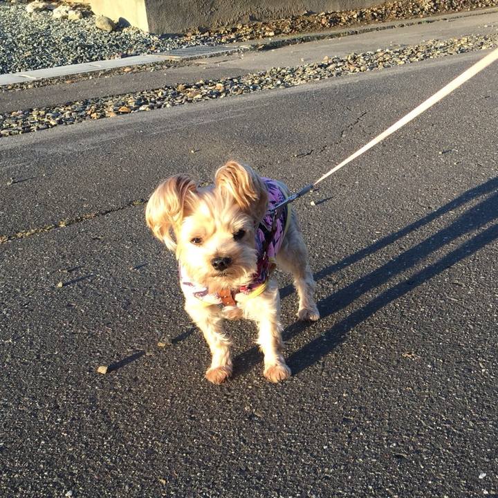 1a58abb6 7197 4a71 b5ea 7d55b6913679 1537480691684