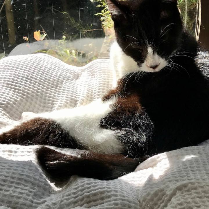 1a58e4a5 2db7 49a1 a37b 8055d8480fa4 1570587948534