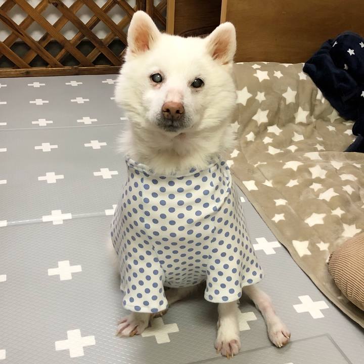 1a58fc80 c41a 43ec a6af 895a9c085b12 1647499256302