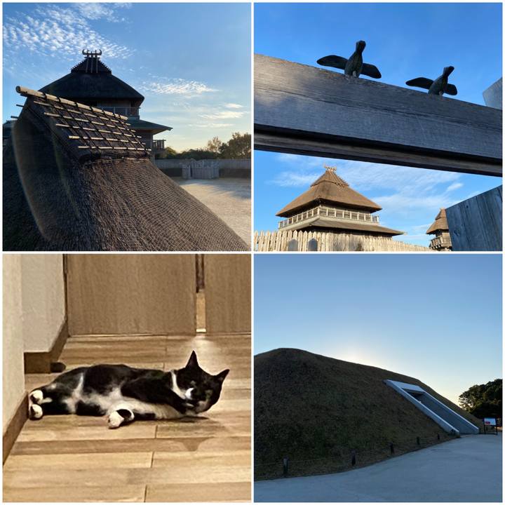 1a5921d6 ea8e 4a73 bc7a 080823d86f45 1638191707492