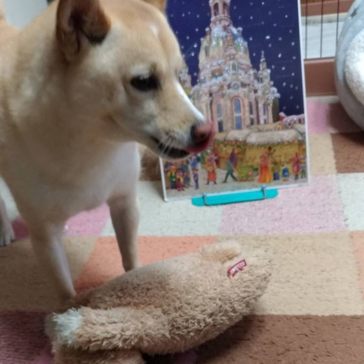 1a59351e 9687 4565 ac77 9b0741d82f9f 1606823275558