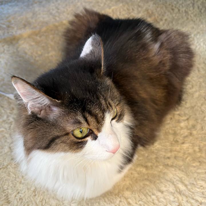 1a5961d2 bbb9 40d3 b094 6a4bb7814ee3 1740356238711