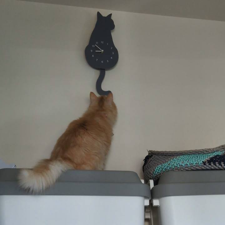 1a59f6b8 bf6e 4dd0 8ff7 5b1dfc4c9053 1758413294393