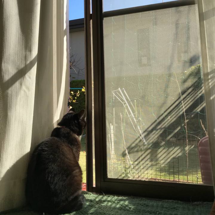 1a5a7428 4fe5 4258 b037 a812f6dfc11f 1511575696189